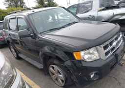 2010 FORD ESCAPE XLT
