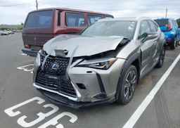 2019 LEXUS UX 250H