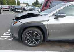 2019 LEXUS UX 250H