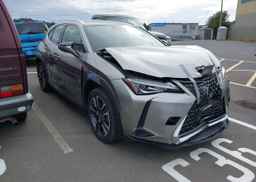 2019 LEXUS UX 250H