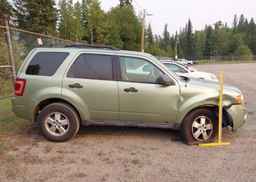 2008 FORD ESCAPE XLT