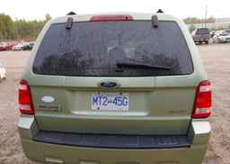 2008 FORD ESCAPE XLT