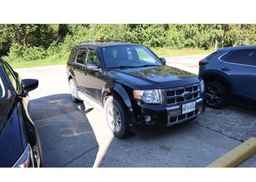 2010 FORD ESCAPE LIMITED