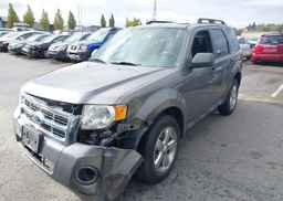 2012 FORD ESCAPE XLT