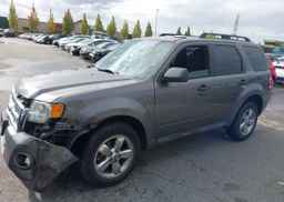 2012 FORD ESCAPE XLT
