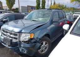 2010 FORD ESCAPE XLT