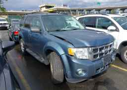 2010 FORD ESCAPE XLT