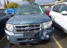 2010 FORD ESCAPE XLT
