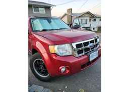 2008 FORD ESCAPE XLT