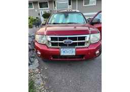 2008 FORD ESCAPE XLT