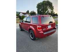 2008 FORD ESCAPE XLT