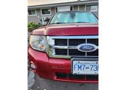 2008 FORD ESCAPE XLT