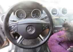 2008 MERCEDES-BENZ ML 320 CDI