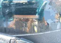 2009 NISSAN SENTRA 2.0