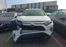 2024 TOYOTA RAV4 LE
