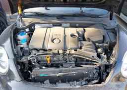 2013 VOLKSWAGEN BEETLE