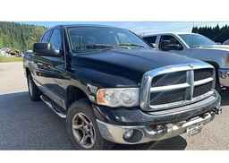2004 DODGE RAM 1500 ST