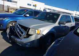 2009 FORD ESCAPE XLT