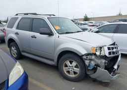2009 FORD ESCAPE XLT