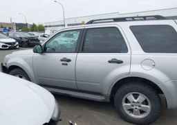 2009 FORD ESCAPE XLT