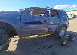 2001 FORD ESCAPE XLT