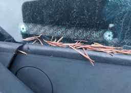 2007 HONDA CIVIC SDN