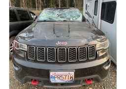 2017 JEEP GRAND CHEROKEE TRAILHAWK
