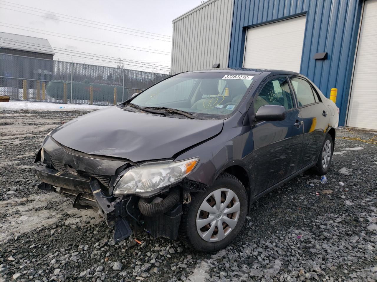 2009 TOYOTA COROLLA