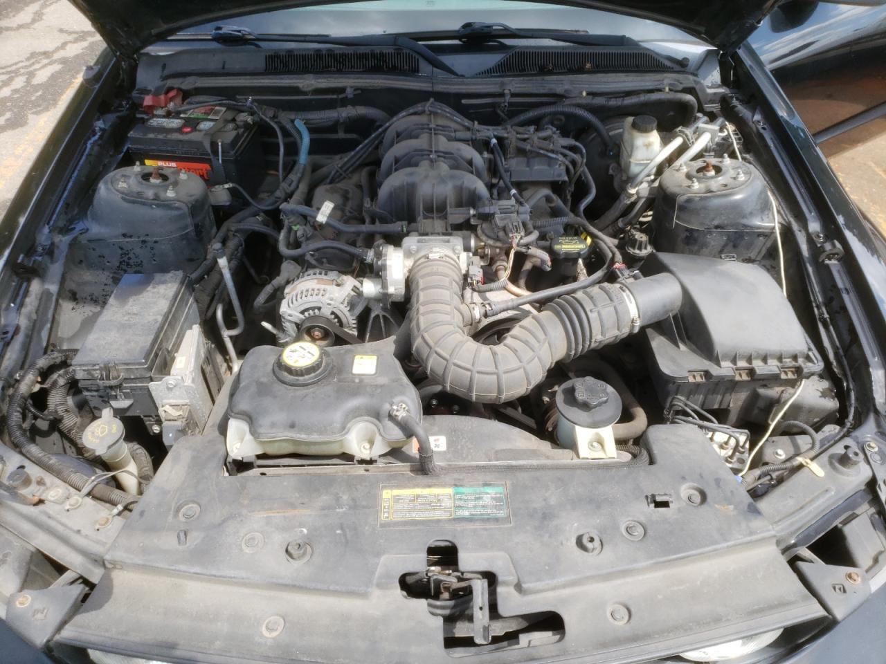 2009 FORD MUSTANG
