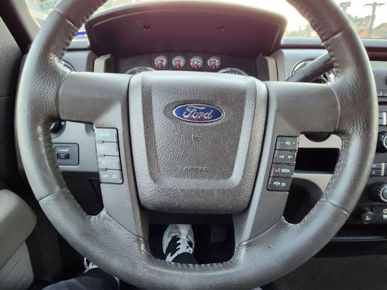 2010 FORD F-150 Lightning