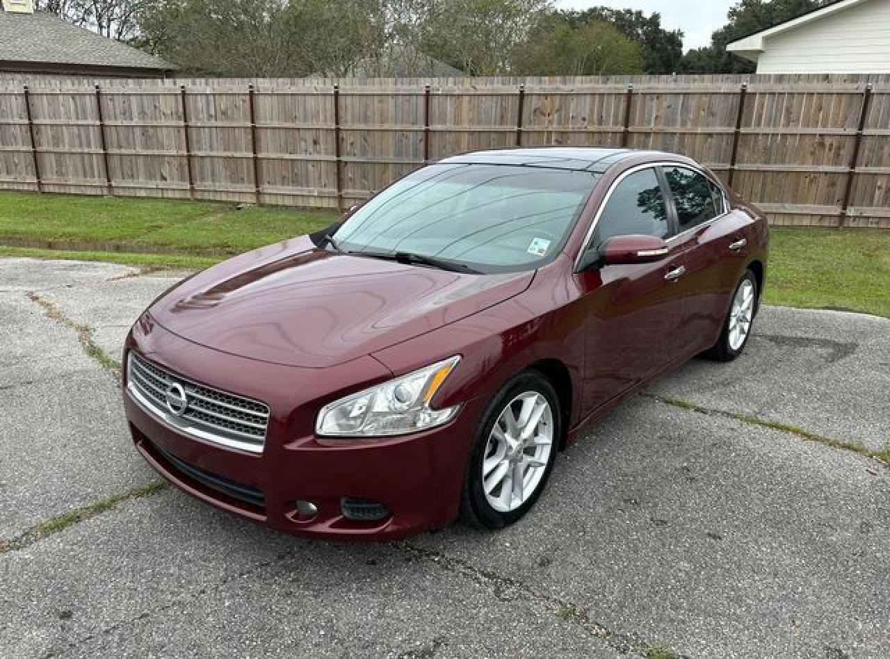 2010 NISSAN Maxima