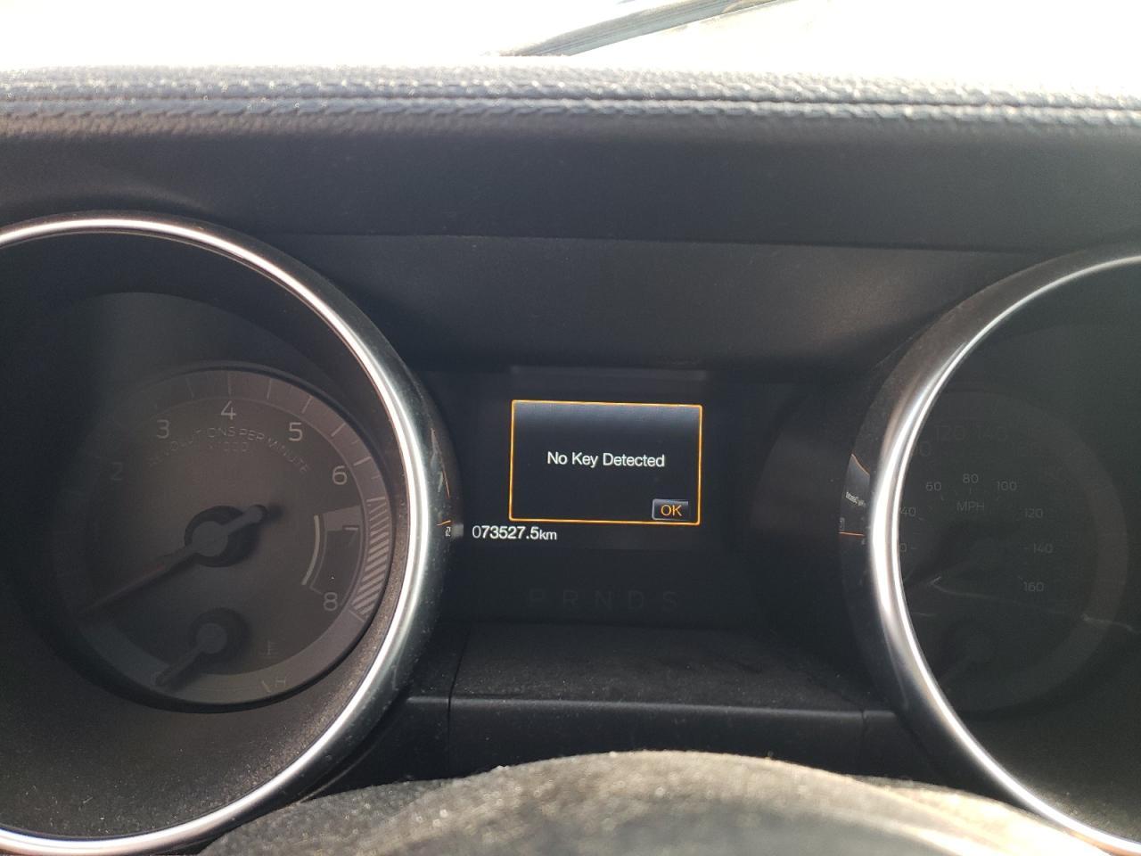 2019 FORD MUSTANG