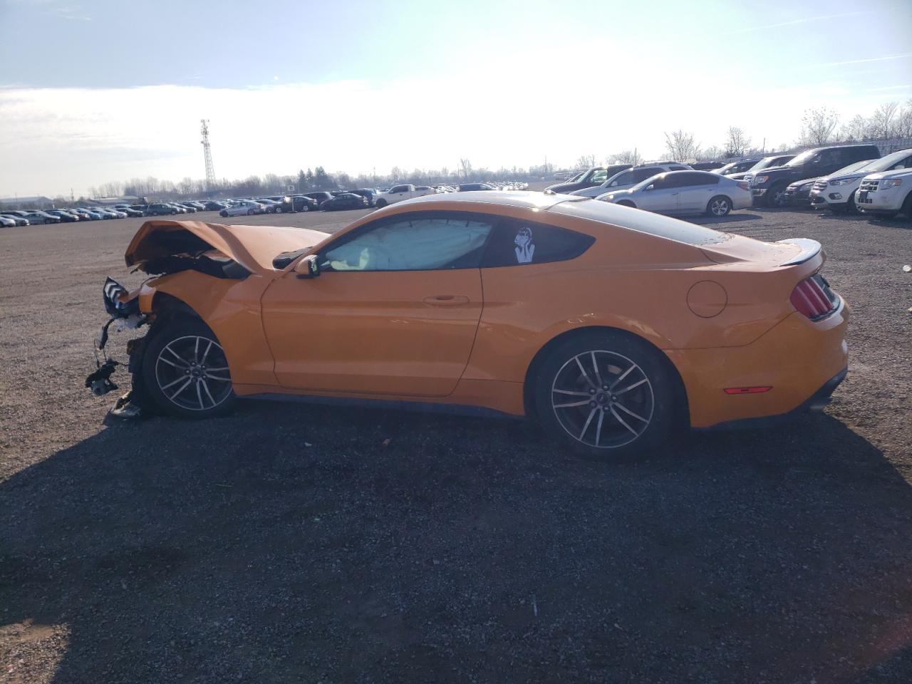 2019 FORD MUSTANG