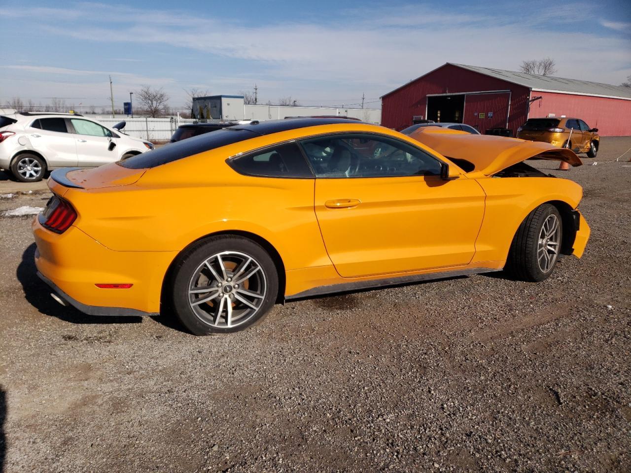 2019 FORD MUSTANG