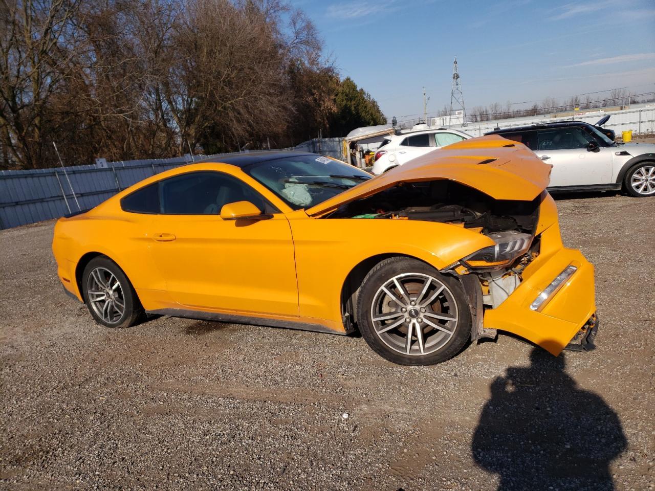 2019 FORD MUSTANG