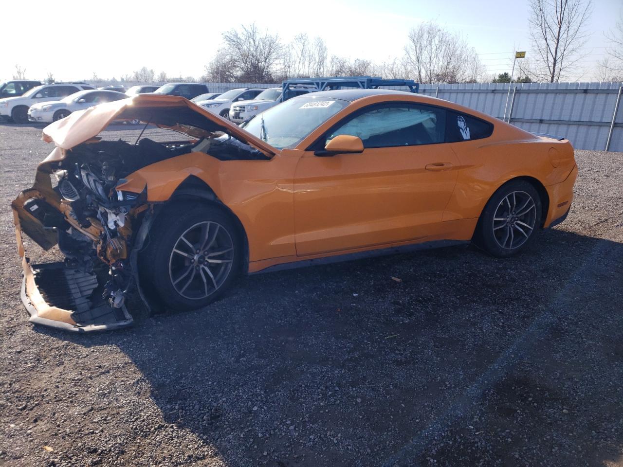 2019 FORD MUSTANG