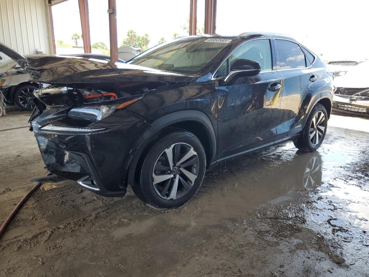 2020 LEXUS Nx