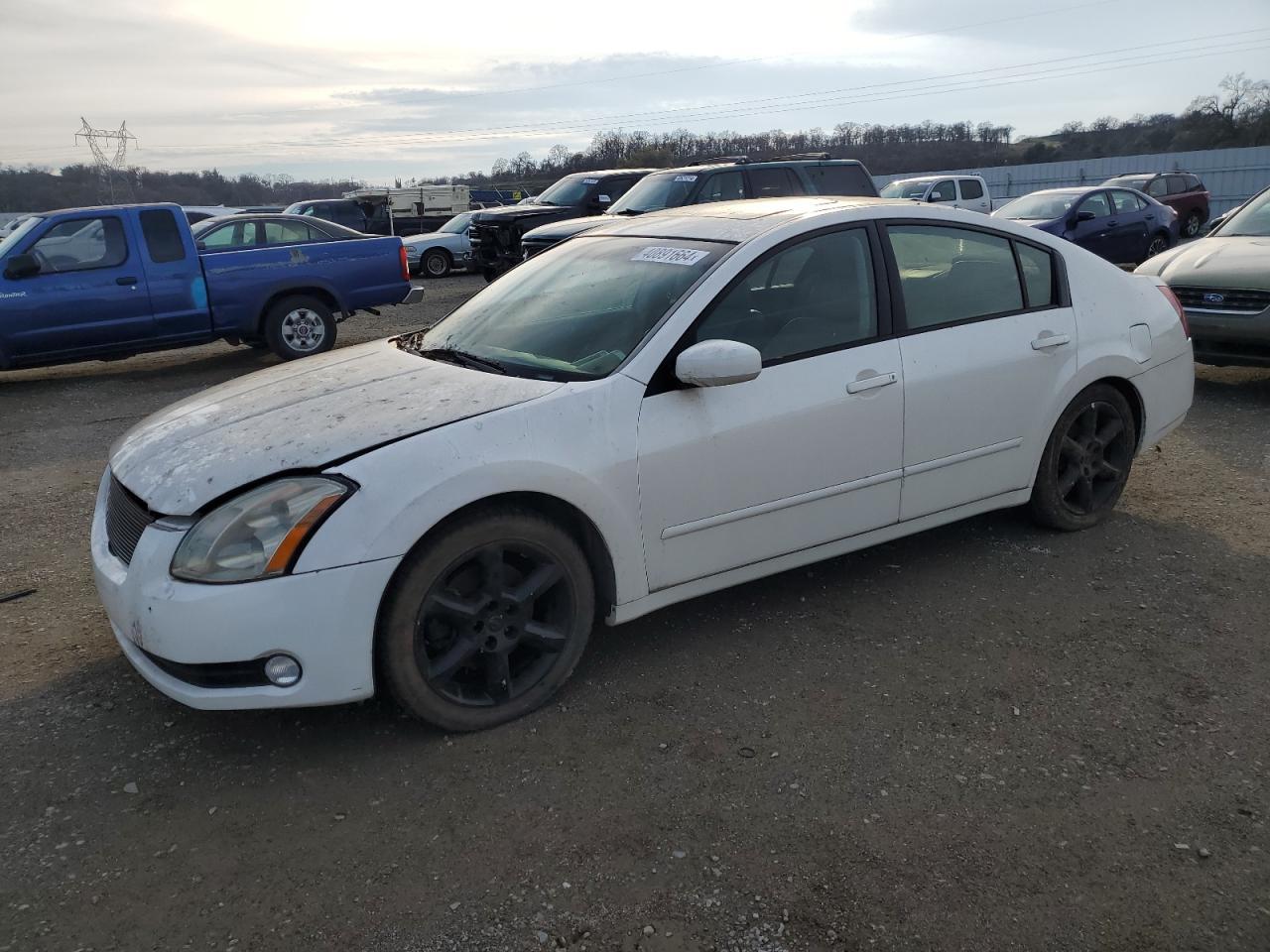 2004 NISSAN Maxima