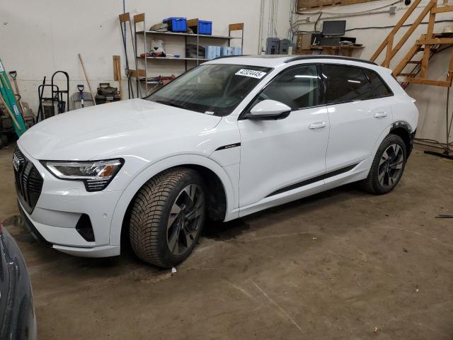 Audi e-tron 2021 quattro Premium