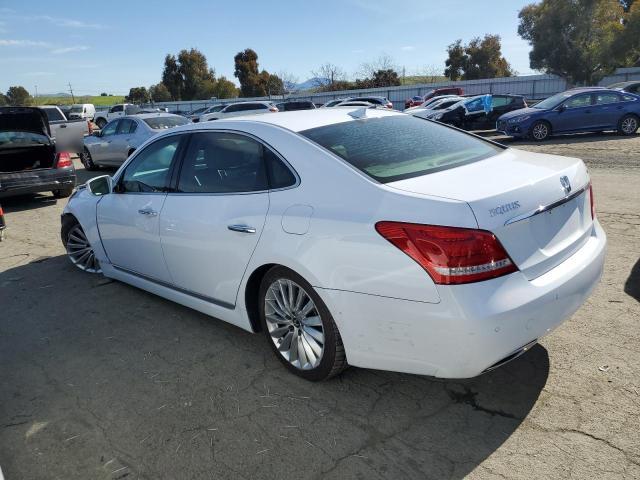 Hyundai Equus 2014 GLS (Middle Level)