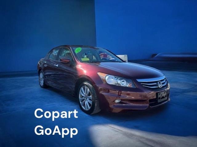 Honda ACCORD EX 2011 