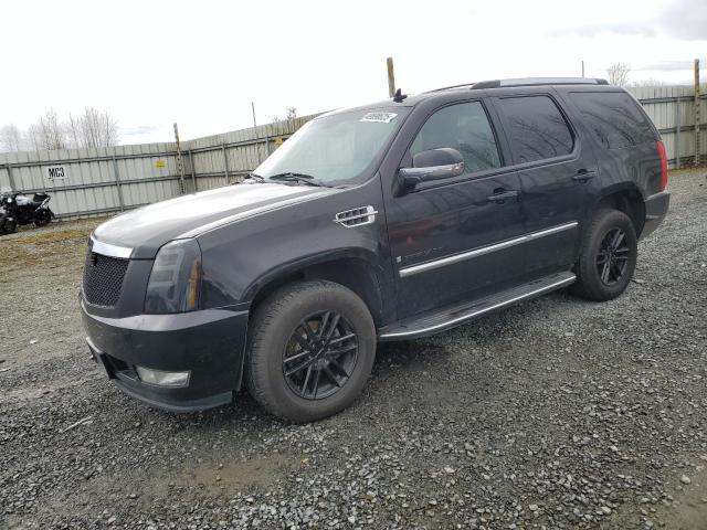 Cadillac Escalade 2008 Luxury