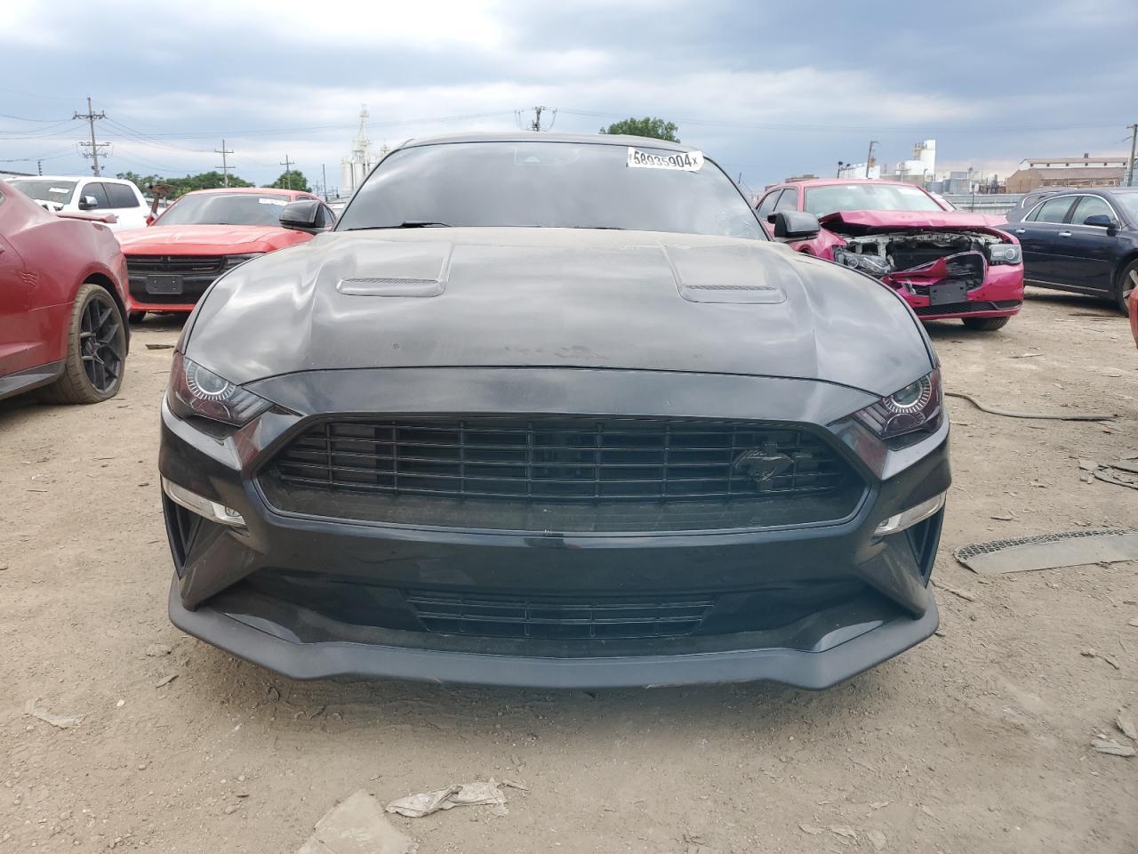 2019 FORD MUSTANG