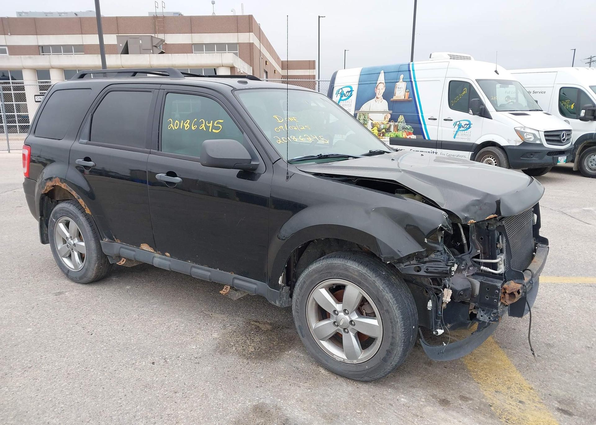 2010 FORD ESCAPE XLT V6