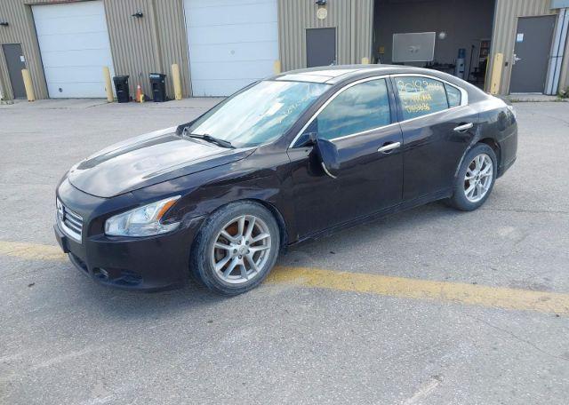 2013 NISSAN MAXIMA 3.5 SV