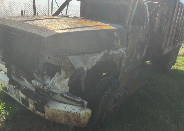 1982 FORD other