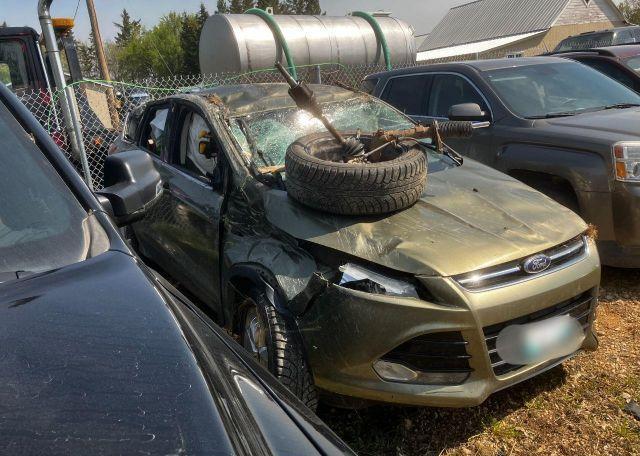 2013 FORD ESCAPE SEL