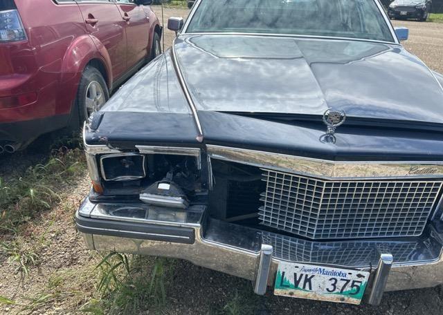 1981 CADILLAC FLEETWOOD BROUGHAM