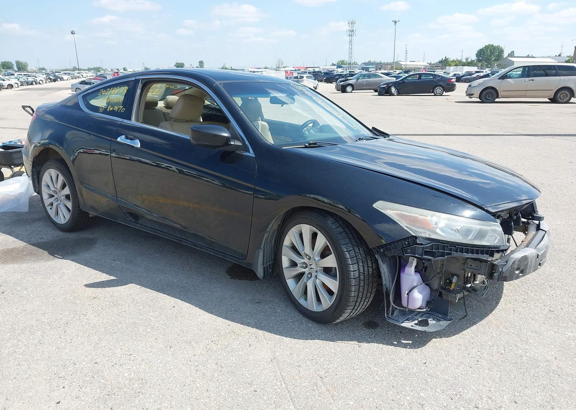 2009 HONDA ACCORD EX-L V6