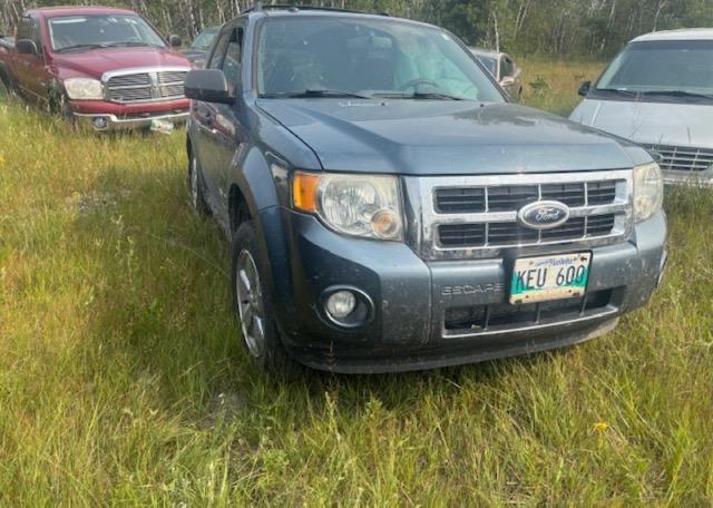 2011 FORD ESCAPE XLT V6